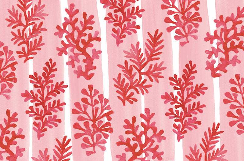 Coral and white pattern